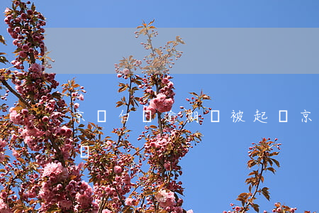 京東白條逾期會被起訴（京東白條逾期說是起訴）