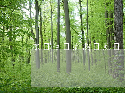 京東白條逾期會黑戶么(京東白條會黑戶嗎)