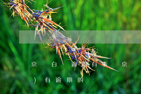 京東白條逾期有事嗎 京東白條有沒(méi)有逾期的