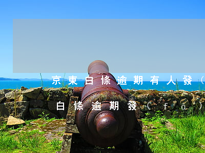 京東白條逾期有人發(fā)信息給我(京東白條逾期發(fā)短信了)