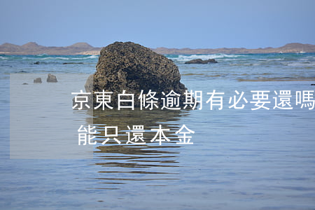 京東白條逾期有必要還嗎(京東白條逾期能不能只還本金)