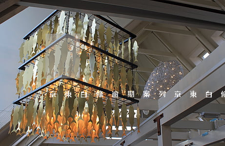 京東白條逾期案列 京東白條逾期一條