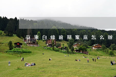 京東白條逾期案底怎么辦 京東白條逾期案例