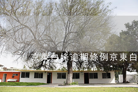 京東白條逾期條例 京東白條可以逾期嗎