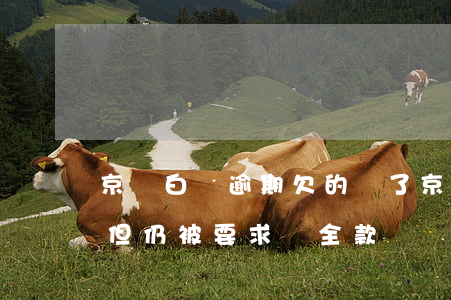 京東白條逾期欠的還了(京東白條逾期已還清但仍被要求還全款)
