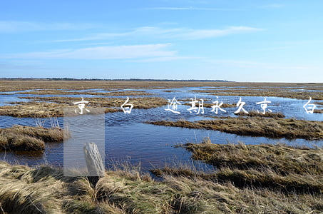 京東白條逾期永久(京東白條逾期3年)