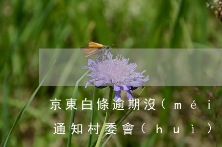 京東白條逾期沒(méi)還會(huì)通知村委會(huì)嗎-京東白條逾期會(huì)通知村委嗎?