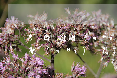 京東白條逾期沒(méi)額度(京東白條逾期沒(méi)額度了)