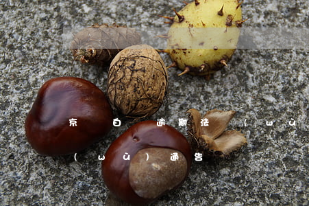 京東白條逾期法務(wù)部(京東白條法務(wù)通告)