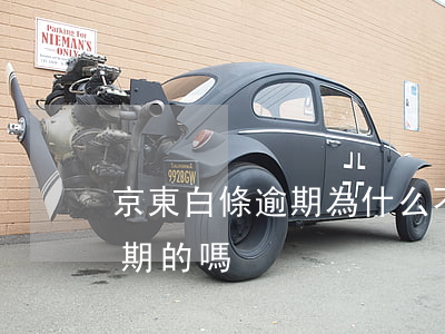 京東白條逾期為什么不能用了(京東白條有逾期的嗎)