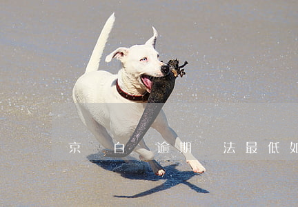 京東白條逾期無法最低(如果京東白條逾期)