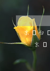 京東白條逾期發(fā)來通告函會怎么樣-京東白條逾期發(fā)來通告函會怎么樣嗎