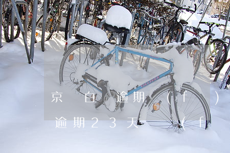 京東白條逾期發(fā)的催繳函(京東白條逾期23天說發(fā)催收函)