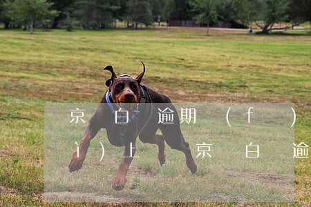 京東白條逾期發(fā)的通告函會(huì)上門嗎 京東白條逾期會(huì)通知嗎