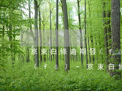 京東白條逾期發(fā)的通知函多久會發(fā)-京東白條逾期發(fā)的通知函多久會發(fā)回來