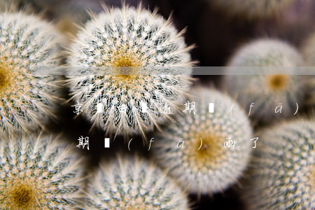 京東白條逾期發(fā)短信了（京東白條逾期發(fā)函了）
