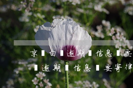 京東白條逾期發信息說要寄律師函-京東白條逾期發信息說要寄律師函是真的嗎
