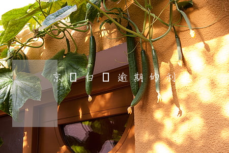 京東白條逾期的利息