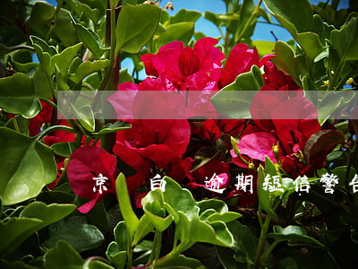 京東白條逾期短信警告（京東白條逾期通知單）