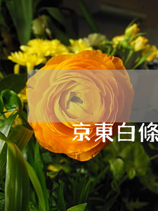 京東白條逾期第七天(京東白條逾期27天)