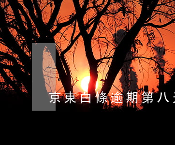 京東白條逾期第八天了