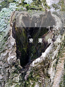 京東白條逾期糾紛 京東白條逾期結(jié)果