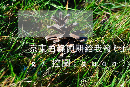 京東白條逾期給我發(fā)來風(fēng)控關(guān)注-京東白條逾期客服