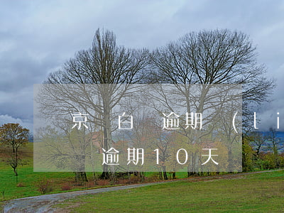 京東白條逾期聯(lián)系不上(京東白條逾期10天電話沒接到)
