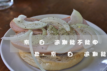 京東白條逾期能不能申請(qǐng)延遲還款-京東白條逾期能不能申請(qǐng)延遲還款呢