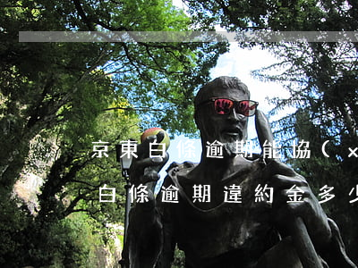 京東白條逾期能協(xié)商本金嗎(京東白條逾期違約金多少)