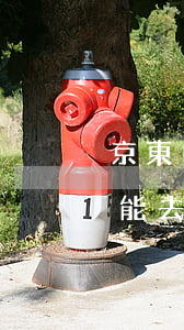 京東白條逾期能去京東物流嗎（京東白條逾期能去京東物流嗎）