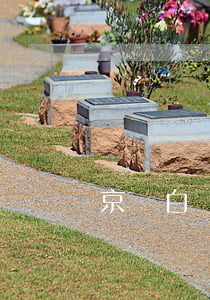 京東白條逾期能消除 京東白條逾期了怎么修復