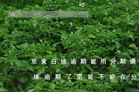 京東白條逾期能用分期樂(lè)嗎(京東白條逾期了還能不能在分期了)
