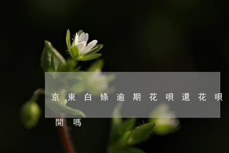 京東白條逾期花唄還(花唄逾期京東白條還能開嗎)