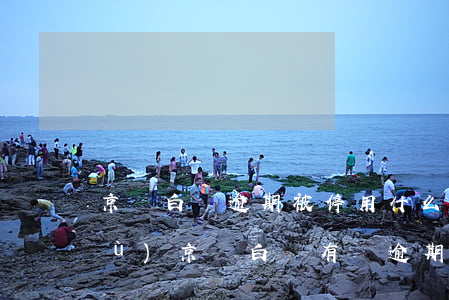 京東白條逾期被停用什么時間可以恢復(fù)（京東白條有過逾期了趕緊注銷）