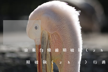 京東白條逾期被執(zhí)行(京東白條逾期被執(zhí)行通知)
