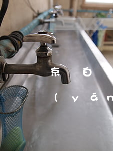 京東白條逾期被警告怎么辦(京東白條逾期嚴(yán)重)