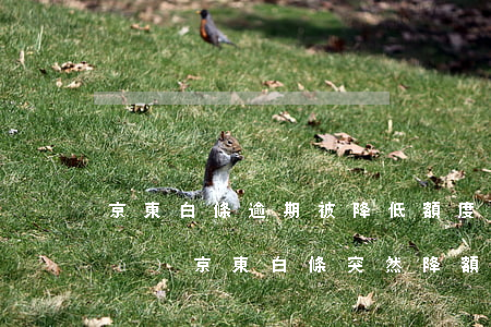 京東白條逾期被降低額度如何快速恢復(fù)（京東白條突然降額逾期怎么面對(duì)）