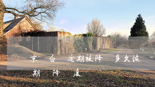京東白條逾期被降額多久恢復-京東白條逾期會降額度