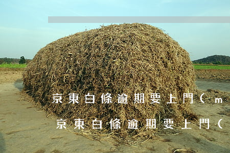 京東白條逾期要上門(mén)是真的假的 京東白條逾期要上門(mén)是真的假的