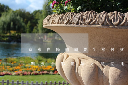 京東白條逾期要全額付款怎么辦 京東白條逾期要全部還清才能使用白條嗎