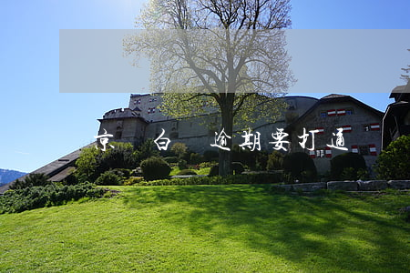 京東白條逾期要打通訊錄(京東白條逾期打通訊錄嗎)