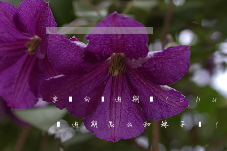 京東白條逾期說(shuō)走流程（京東白條逾期怎么和妹子說(shuō)）