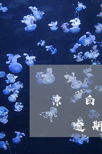京東白條逾期說(shuō)起訴我(京東白條逾期發(fā)短信說(shuō)要起訴我是真的嗎)
