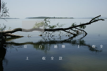 京東白條逾期說上門收全款(京東白條逾期說上門收全款)