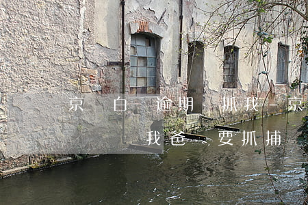 京東白條逾期說抓我-京東白條逾期半年打電話給我爸說要抓捕