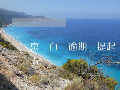 京東白條逾期說提起訴訟(京東白條逾期會被起訴)