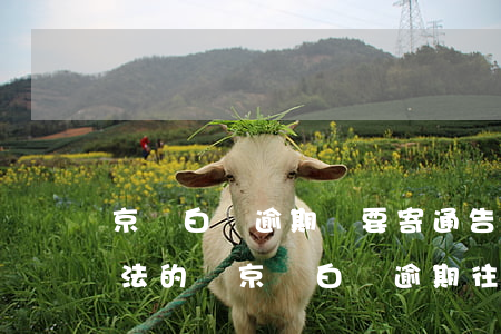 京東白條逾期說要寄通告涵和上門詢問是合法的嗎（京東白條逾期往住址寄通告涵）