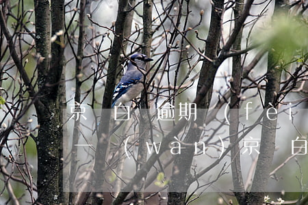 京東白條逾期費(fèi)用高達(dá)一萬(wàn)(京東白條逾期幾千塊錢會(huì)怎樣)