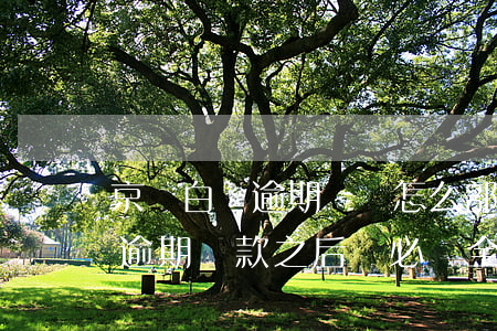 京東白條逾期賬單怎么部分還款-京東白條逾期還款之后還必須全部結(jié)清?